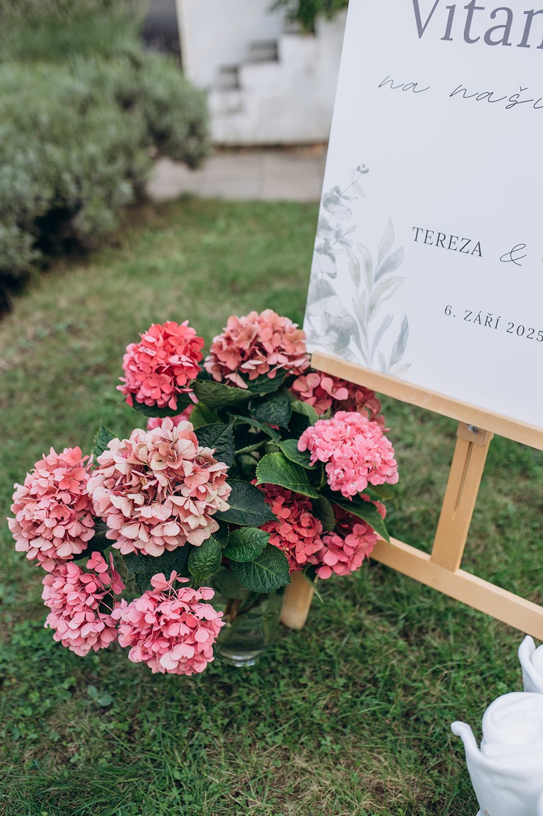 Tereza & Tomáš - foto 1